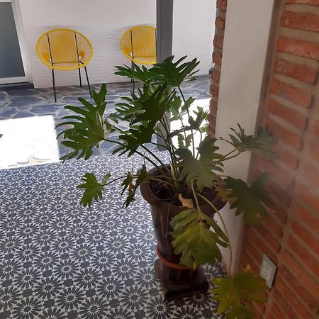 Estudio #5 Casa Fatima, 8 Min Del Centro 1 Persona กัวดาลาฮารา ภายนอก รูปภาพ