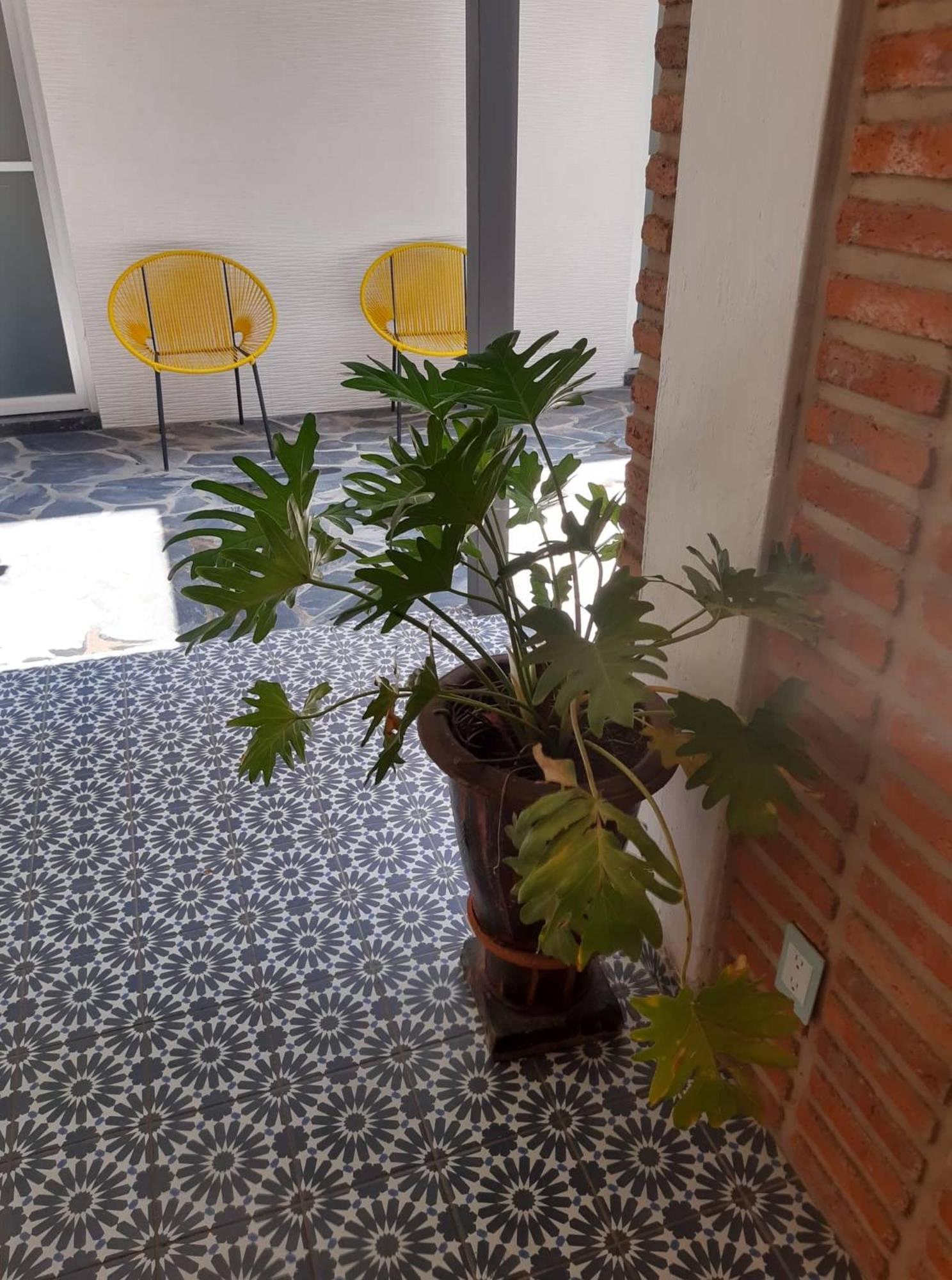 Estudio #5 Casa Fatima, 8 Min Del Centro 1 Persona กัวดาลาฮารา ภายนอก รูปภาพ
